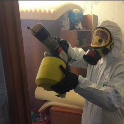 Уничтожение клопов в квартире. Профсоюзная